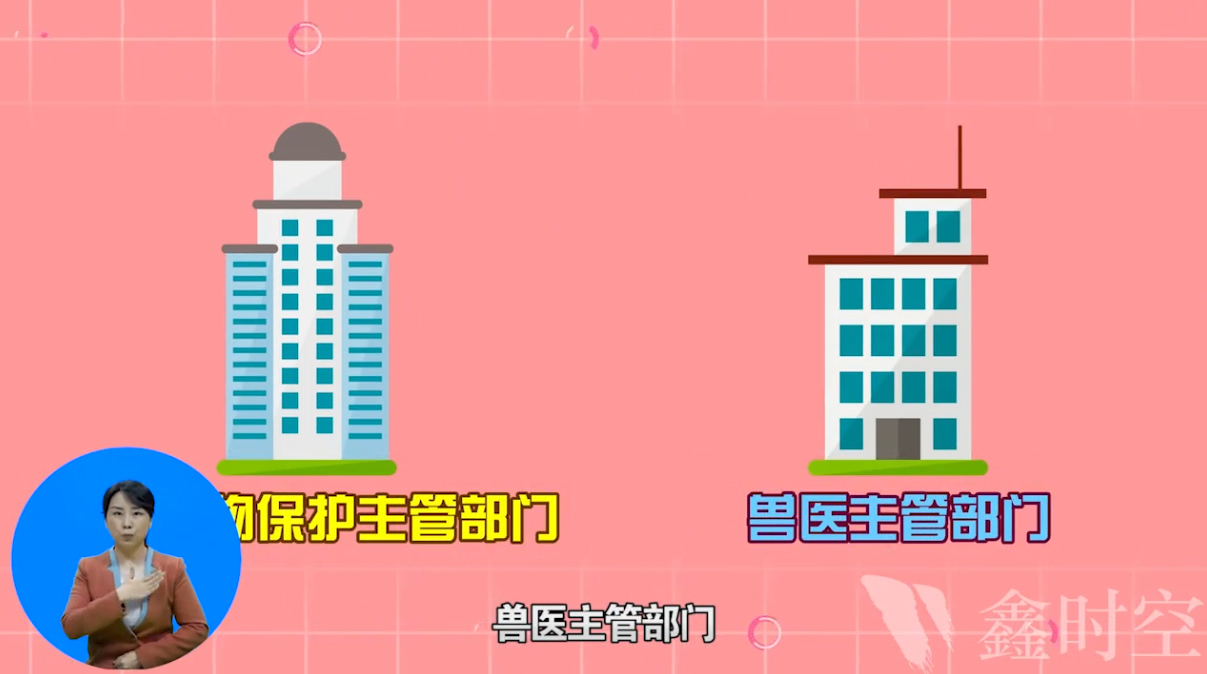 設計展覽布局的技巧是什么？